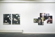 Phénomènes #12 - 1998 , Découpes #12 - 2001