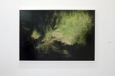 Event of light, 2015, 100 x 150 cm