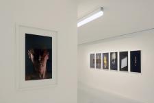 Pictures for a While, Centre Photographique Marseille, 2019 - (06-01 - 09-04)