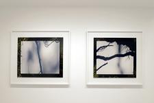 Écrans #7, 2015, 86 x 100 cm, Écrans #2, 2015, 86 x 100 cm