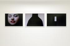 Triptyque III, 2009, 3 x (50 x 75 cm)