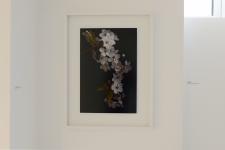 Sans titre  #4, 2010, 60 x 40 cm