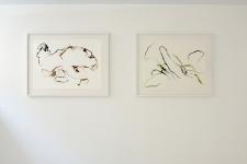 Pictures for a While, Centre Photographique Marseille, 2019 - (06-01 - 09-04)