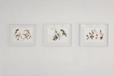 Pictures for a While, Centre Photographique Marseille, 2019 - (06-01 - 09-04)