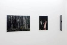 Sans titre #7, #6 - 2010, Bois graphite #16 - 2009-2011 