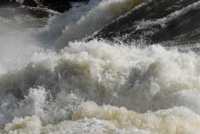 Photographie - 2004, motif pour impression