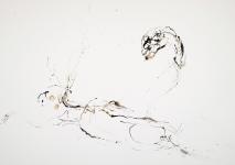 2026-05-01-I
