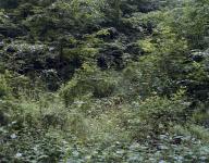 Suite de Sarrebruck #19