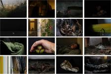 COMMENCÉ EN HIVER IV