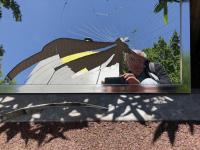 Street Broken Mirror Self Portrait #11